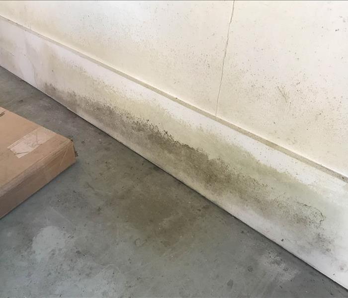 Mold growth on the baseboards of a garage.